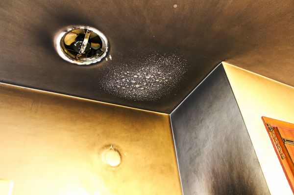 Cost of Smoke Damage Removal in Lehi