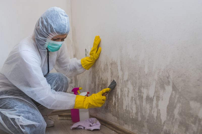 Preventing Mold Growth